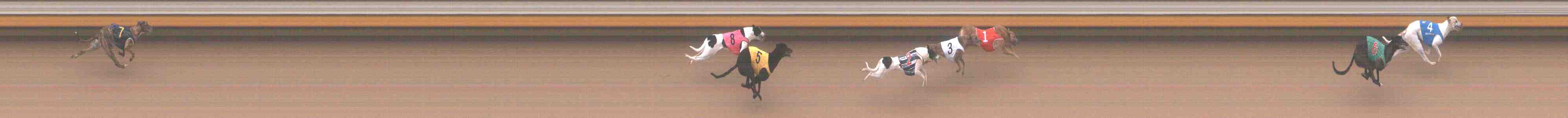 Race result finish photo